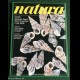 Rivista NATURA OGGI - N. 8 1991 - Conchiglie Funghi Dolomiti