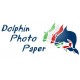 Dolphin Photo Paper - Computer & Elettronica