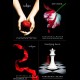 Raccolta - Stephenie Meyer - Bibliografia Twilight Completa!