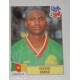 ALBUM FIGURINE PANINI USA 94 - EMBE CAMEROUN