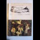 BOLLETTINO Gruppo Micologico Bresadola - N. 5-6 1977