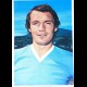 ALBUM FIGURINE STICKER EDIS LAZIO NUM.168 PIGHIN REC.