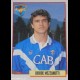 ALBUM CALCIO MERLIN'S 95 CARD BRESCIA MEZZANOTTI NEW