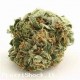 AK 47 (CBD Greenhouse) 2 gr. aroma speziato simile Skunk