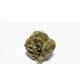 Infiorescienza Gorilla (CBD Indoor) 2 gr limone legno spezie