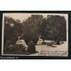 Cartolina MUNCHEN - Park und statuen mit hirsch - 1915