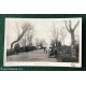 Cartolina MONTILLA - Paseo Doctor Ruiz Maya - Roisin L. 1937