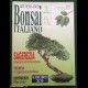 Rivista BONSAI ITALIANO N. 20 - 1993 / 1994
