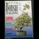 Rivista BONSAI ITALIANO N. 18 - 1993