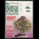Rivista BONSAI ITALIANO N. 16 - 1993