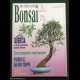 Rivista BONSAI ITALIANO N. 4 - 1992