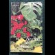 I SEGRETI DEI FIORI - CIBA-GEIGY - 1972