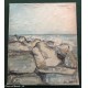 Dipinto Olio su Cartone Telato - 50 x 59 - Paesaggio Marino 