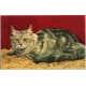 Jeps - cartolina tematica ANIMALI - Gatto anni 40-50