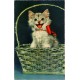 Jeps - cartolina tematica ANIMALI - Gattino anni 40-50