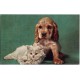 Jeps - cartolina tematica ANIMALI - Gattino e cagnolino