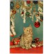 Jeps - cartolina ANIMALI - Gattino beige Buon Natale