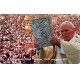 Jeps - nuove VATICANO - Papa Giovanni Paolo II