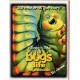 Jeps - FOLDER per schede RLSCOM - a BUGS LIFE