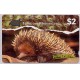 Jeps - Belle Schede Straniere ...AUSTRALIA - echidna