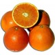 Arance di Sicilia - Lentini (SR) - 10Kg